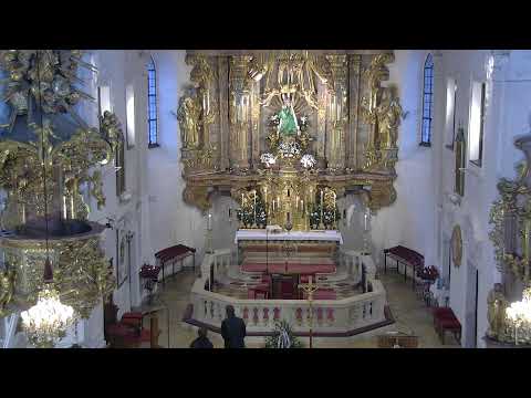 Rosenkranz und Hl. Messe, 14.01.2023, 9 Uhr, P. Thomas Höflich cp