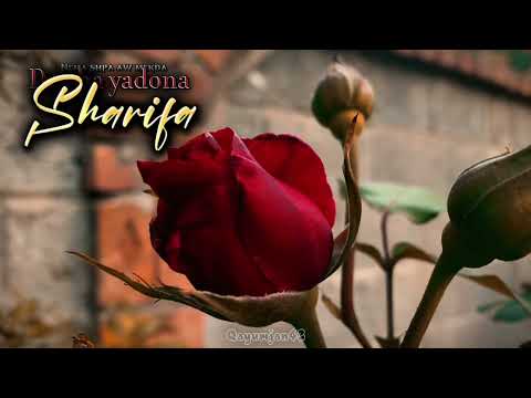 Da cha yadona [nema shpa aw mekda ] sharifa #dachayadona #pashtoghazal #cinematic #peocharswat