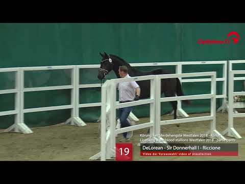 19 Hengst v. DeLorean - Sir Donnerhall I - Riccione