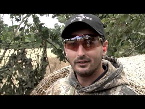 Top shots Andy Crow & Mark Winser versus the Pigeons