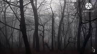 Download lagu backsound musik misteri ||  no copyright cocok untuk kisah mistis mp3 Download lagu backsound musik misteri ||  no copyright cocok untuk kisah mistis mp3