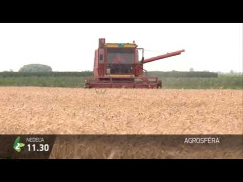 Emisije na slovačkom jeziku  |  12.07.2016.