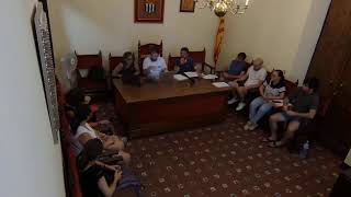 Ple Ordinari 28 de juliol de 2026