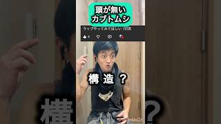 頭がないカブトムシ#エアロピクルス #djembejoji #ジャンベジョージ