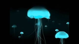 DJ-Vega-Remix Hypnotized New Remix 2012