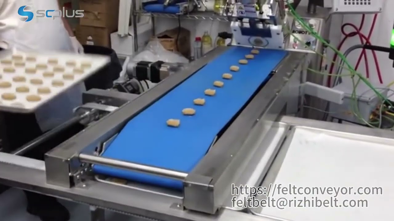 FDA PU Conveyor Belt for Food Industry