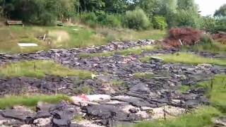 preview picture of video 'Ashby Model Car Track August 2010'