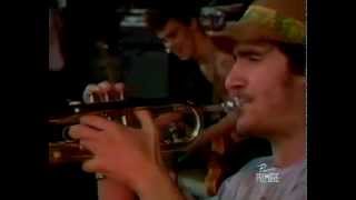 05 Indios de Barcelona   Mano Negra live Pinkpop