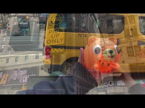 Orange Cat Catching A Cab!