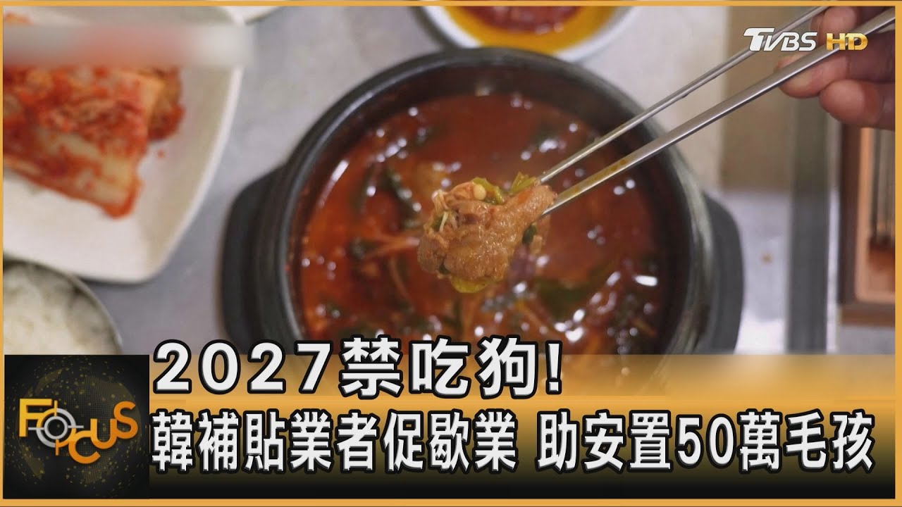 2027禁吃狗!韓補貼業者促歇業 助安置50萬毛孩