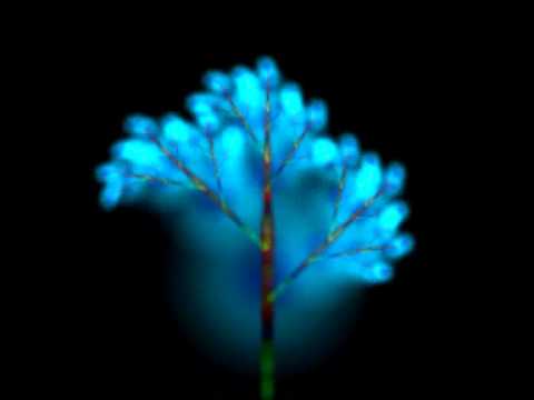 Scott Conrad - Cara Mia