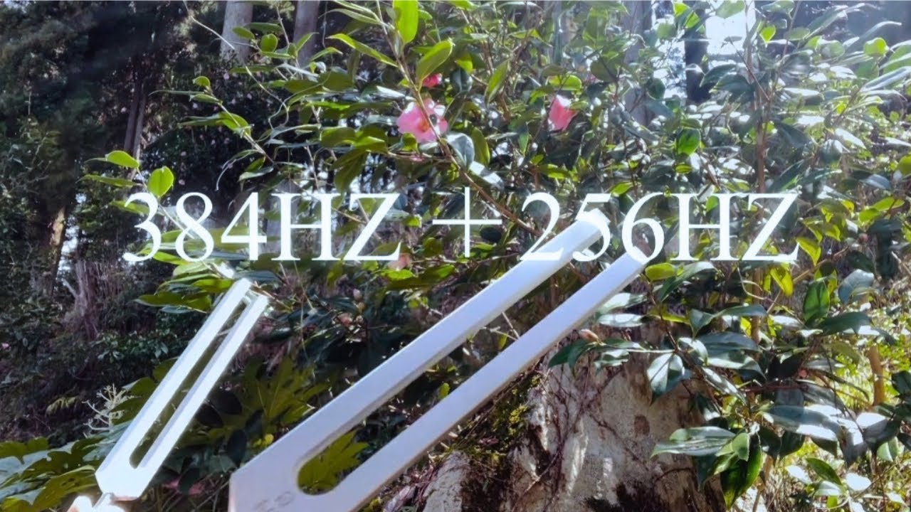 【超強力Powerful Calm 256HZ & 384HZ】一瞬で自力神経が整う周波数調整 Frequency for deep relaxation and self alignment