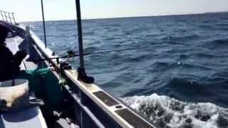 鴨下丸のイメージ