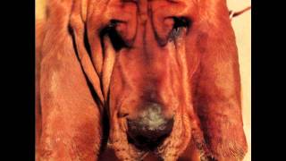 ty segall "i am with you"