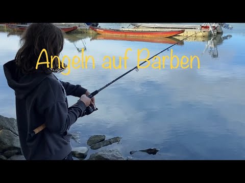 Angeln an der Donau auf Barben und co. ⭐️👍☺️☺️