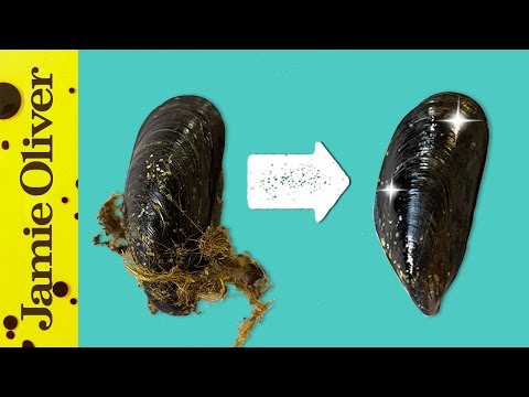 How To Prepare Mussels | 1 Minute Tips | Bart’s Fish Tales