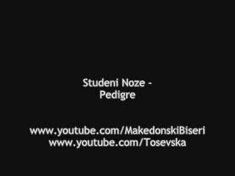 Studeni Noze - Pedigre