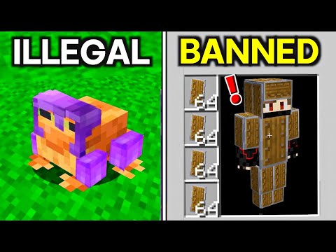 41 Minecraft Things Only Veterans Know