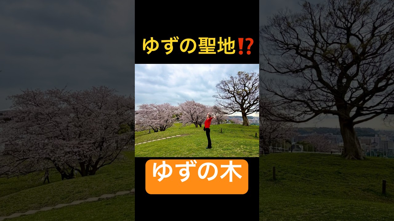 おかん‪𝐃𝐚𝐲‬🌸#親子#母#娘#仲良し#date#桜#spring#ゆず#聖地巡礼 #ロケ地#散歩#大岡川プロムナード#花見#名所#横浜#afternoontea#short#shorts