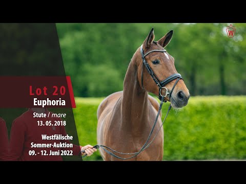 Sommer-Auktion Lot 20 Euphoria Stute v. Ehrenstolz - Fidermark