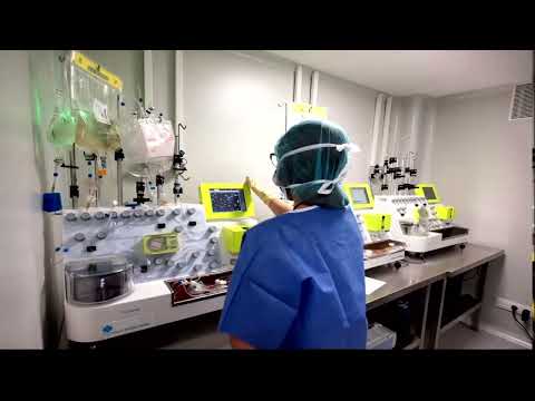 CAR T Cell Academic Manufacturing – Dr. Manuel Juan (May 26-27, 2023)