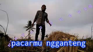 Download lagu Pacarmu Sugeh ISO ngaret pora mp3