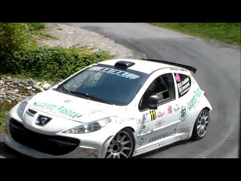 54° Rally Coppa Città di Lucca 2019 S. Gaddini - I. Innocenti Peugeot 207 s2000 MM Motorsport