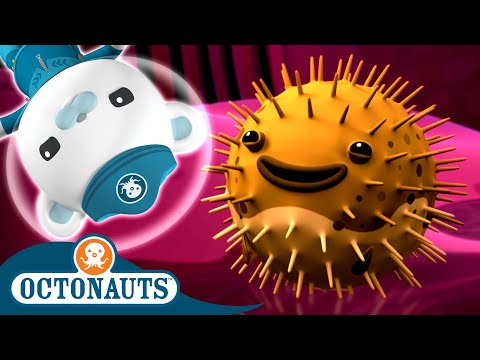 ​@Octonauts - The Porcupine Puffer Rescue Mission 🐡 | Series 2 | Full Episode 9 | Cartoons for Kids