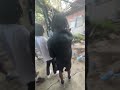 ON YO BLOCK BEHIND THE SCENES VIDEO SHOOT Artist Rap Cartoon Art Music Rapper Underground