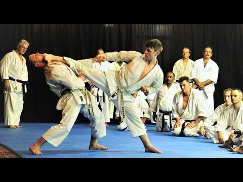 The Best And Most Technical Of Karate Masters  - ANDRE BERTEL  #shotokan