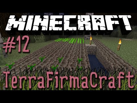Minecraft: TerraFirmaCraft - Episode 12