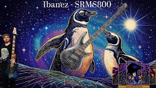 Video thumbnail for Ibanez SRMS800 - Bass Review!!! by Zombie Penguin Studios