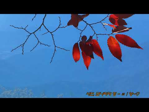 Graveyard Angel - Louise Tucker