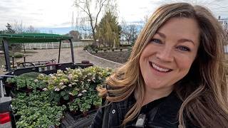Snowdrop Tour, Planting Under the Leyland cypress & Flower Bed Clean Up! 🌿🌸✂️ // Garden Answer