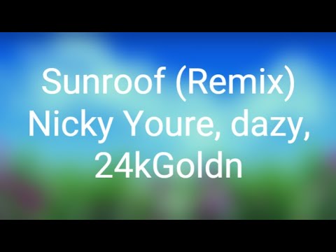 Nicky Youre, dazy, 24kGoldn - Sunroof (Remix) (Lyrics)