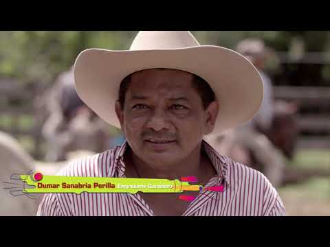 DPC LLANERAZO MASTER HD