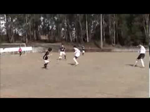 Carvalhosa vs Lousada
