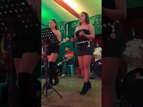 LIVE BAND CHACHA MUSIC  #shorts #dance #trending #dancemoves #highlights