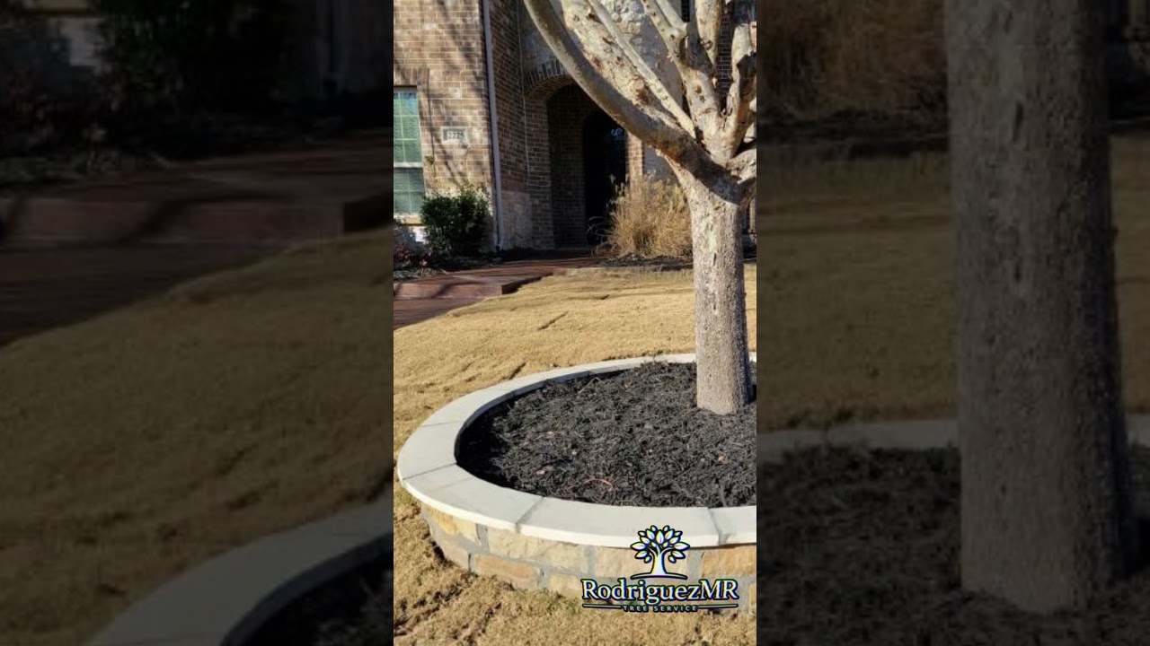 Rodriguez MR Tree Services