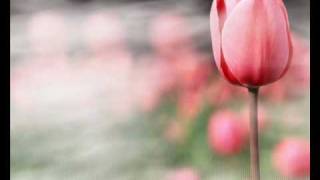 Las Mañanitas- Vicente Fernandez