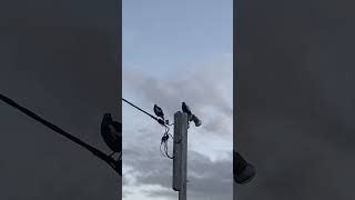 Good Day Sunshine -                                  Paul McCartney