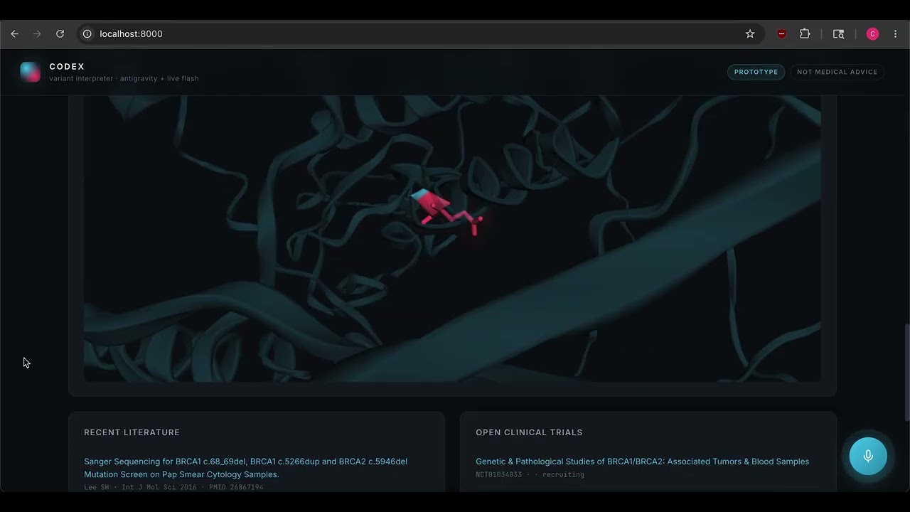 Codex project preview