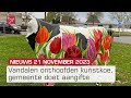 Kop van kunstkoe opgeblazen en honderden nieuwe stempassen aangevraagd | Dit is Flevoland