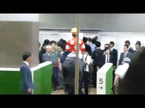 レッドアンシェル　in　 東京競馬場　at 2017.05.07. NHKマイルカップ（ＧⅠ）＃８