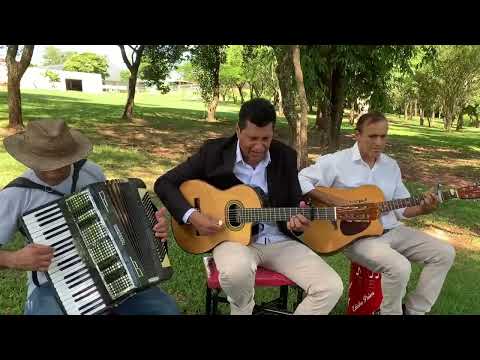 1 HORA DOS MAIS LINDOS HINOS CCB | EDINHO PAIVA E SANFONEIRO