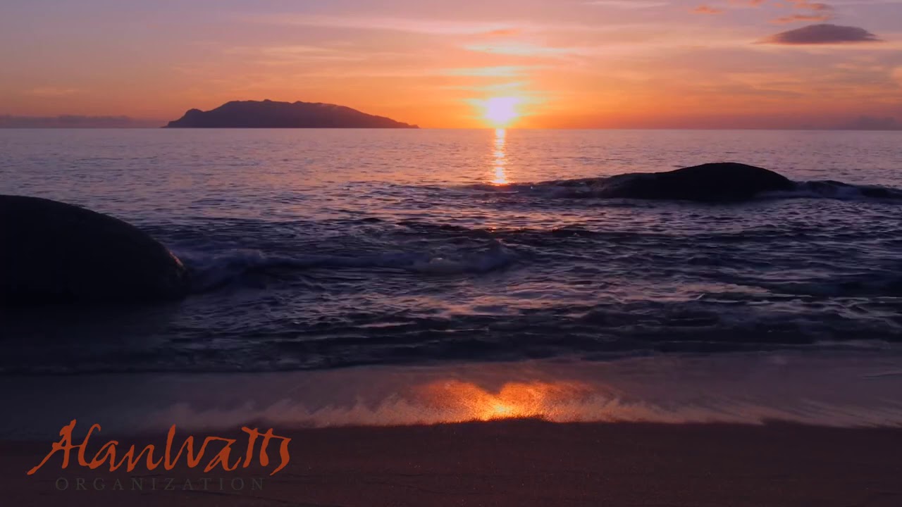 Alan Watts - What Is Reality