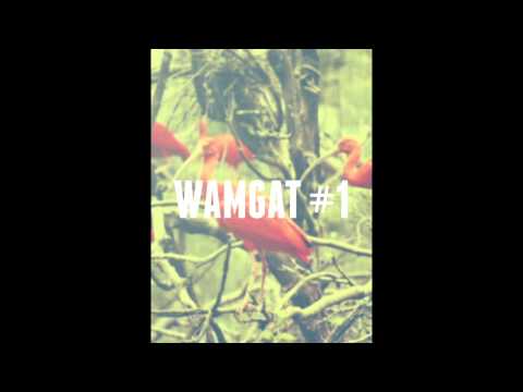 Wamgat #1 (Technolicious #1)