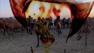Doggone Yellowbelly Tricky Dicky Cowboy Blues Music Video