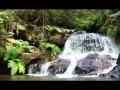 Madagascar Wmv