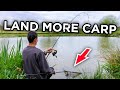 How To Reel In A Big Fish Easy Ways To Land More Carp